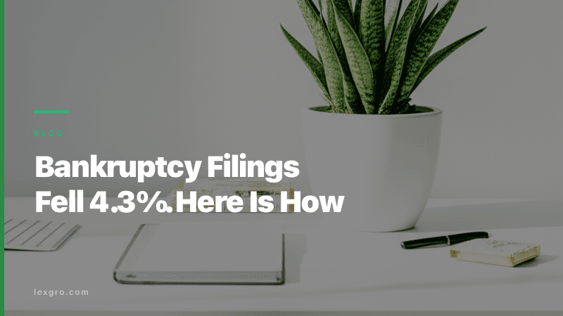 Bankruptcy Filings Fell 4.3%. How Top Firms Grow.